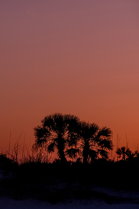 Sunset Vibes, Folly Beach, South Carolina — Fine Art Print
